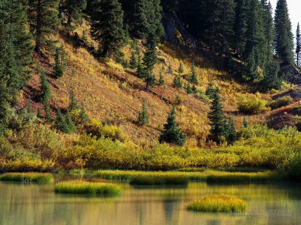 Whispers of Autumn: A Tranquil Reflection in Nature's Embrace