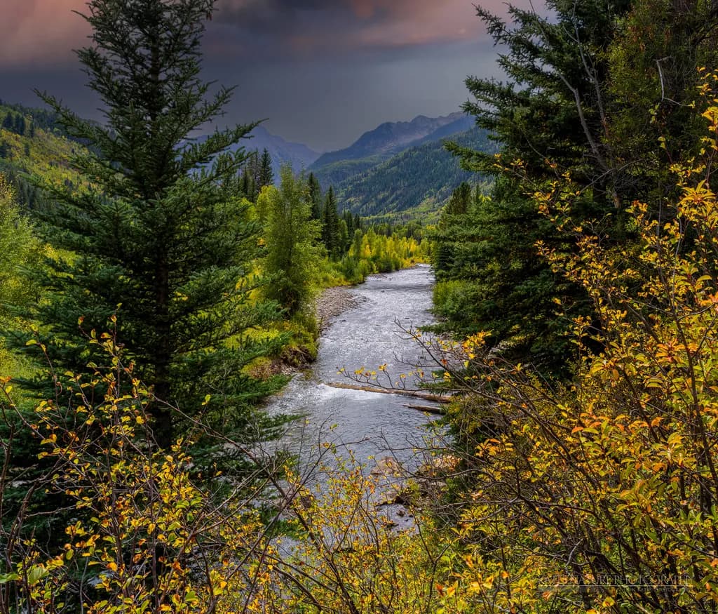 Whispers of Autumn: A Serene River Journey Through Nature's Palette