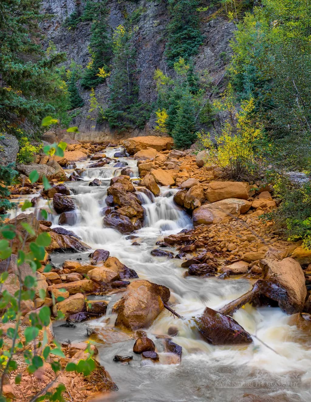 Whispers of the Stream: A Serene Journey Through Nature's Palette
