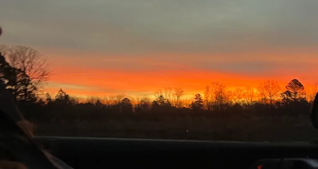 Sunset Silhouettes