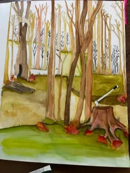Autumn Forest Clearing