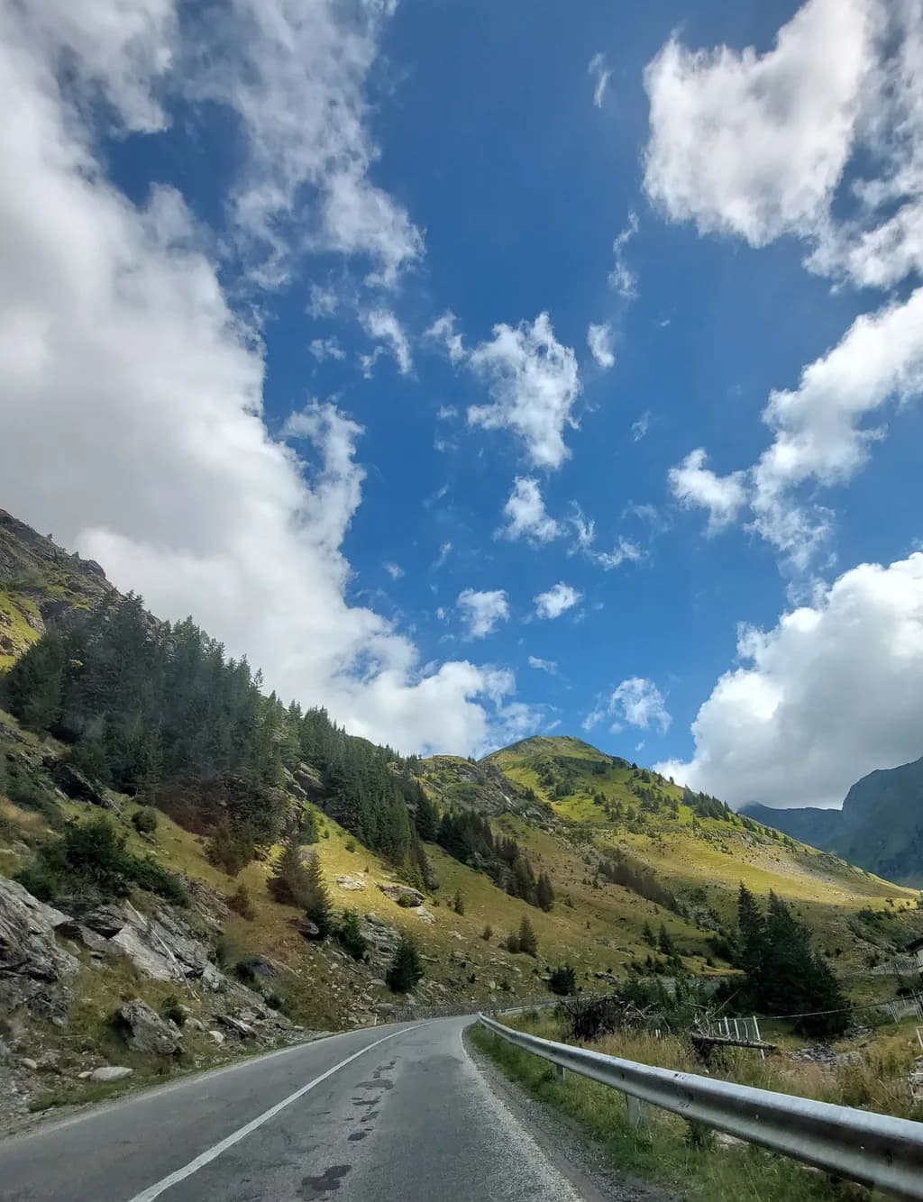 Whispers of the Mountain Road: A Journey Through Nature's Embrace