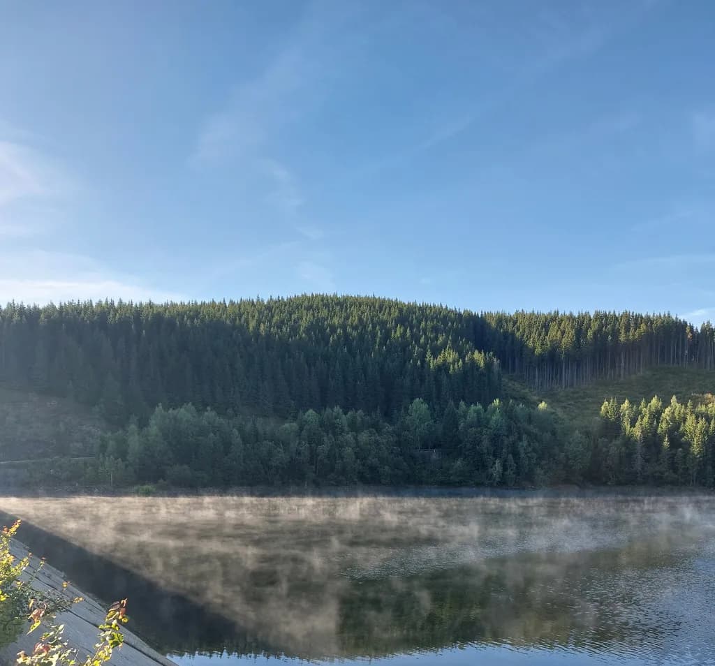 Whispers of Dawn: A Serene Reflection on Misty Waters
