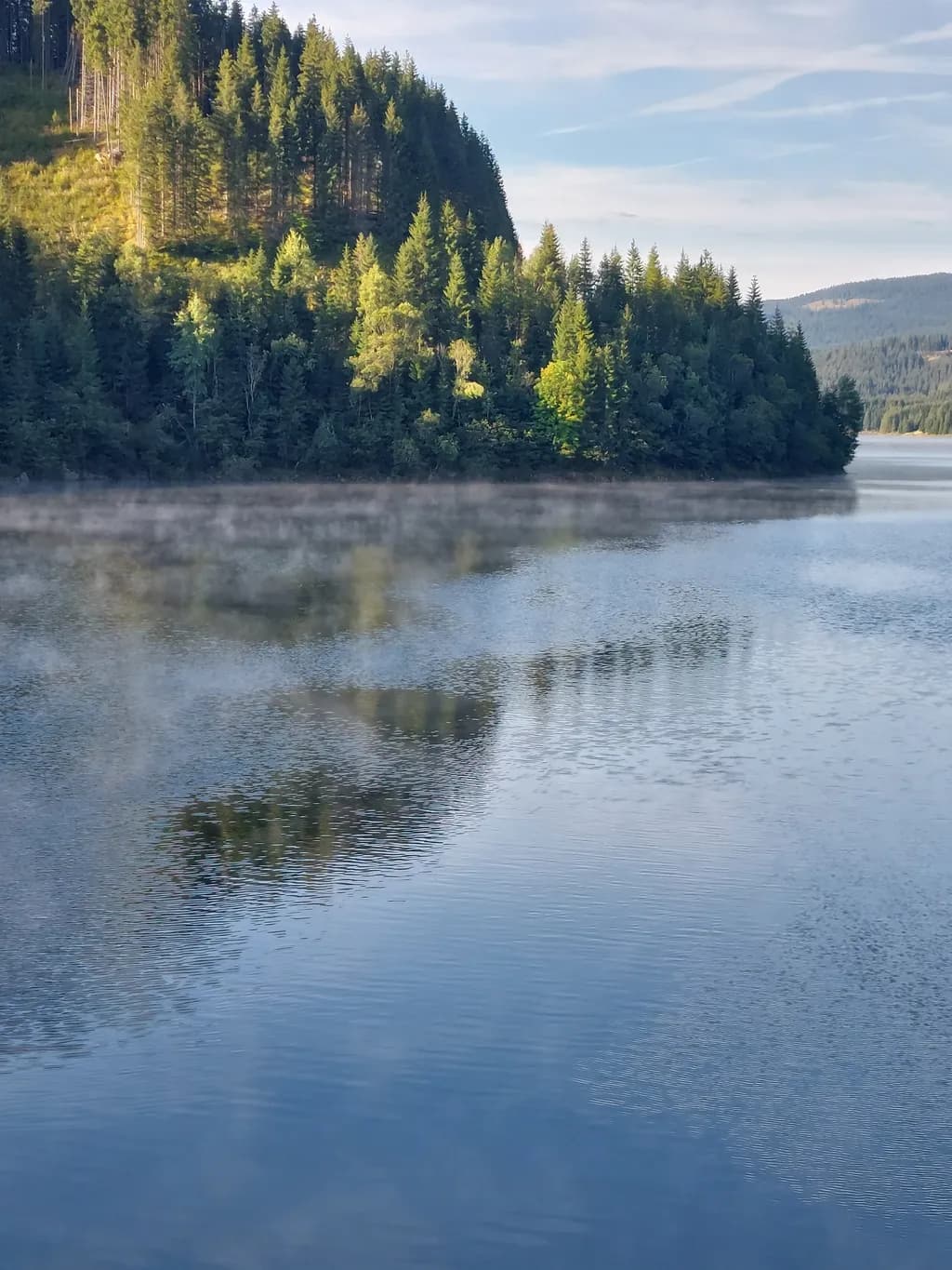 Whispers of Serenity: A Tranquil Reflection on Still Waters