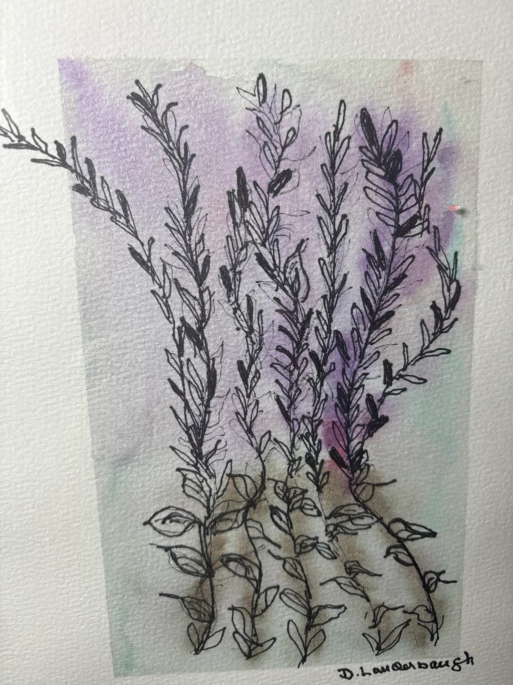 Botanical Sketch