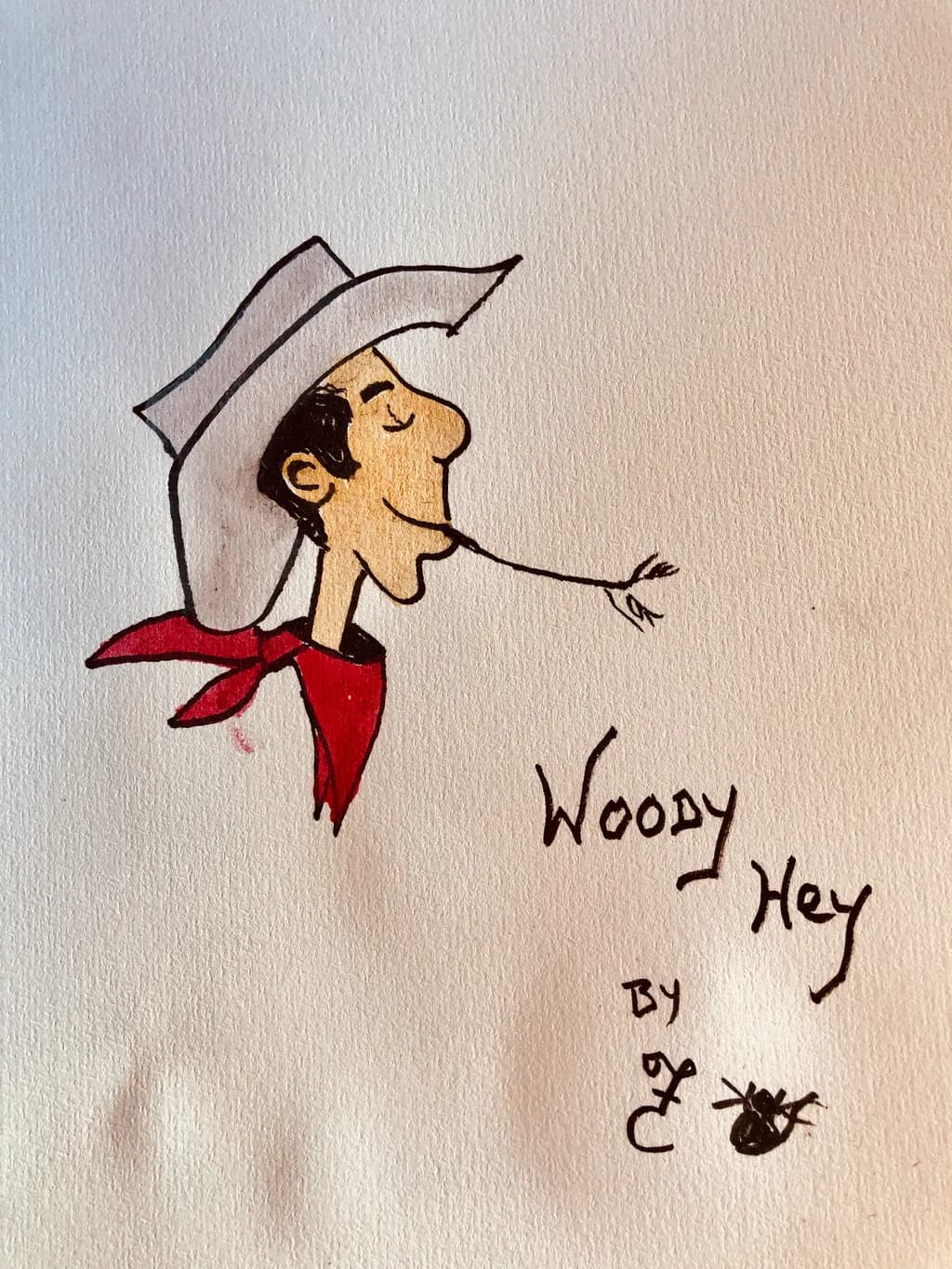 Whimsical Cowboy: A Playful Portrait of Woody Hey