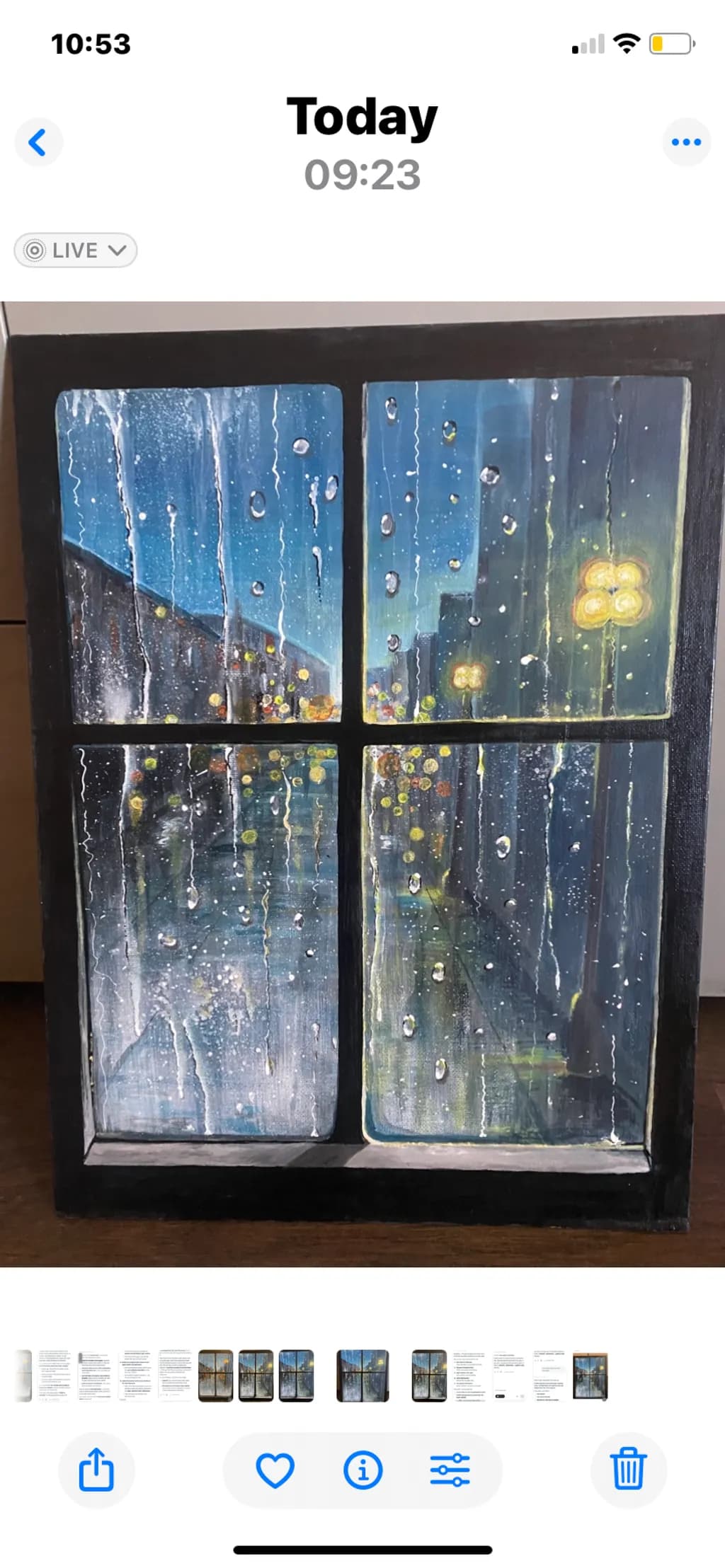 Raindrop Windowpane