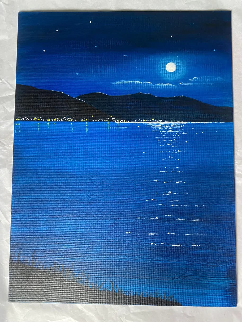 Moonlit Reflection