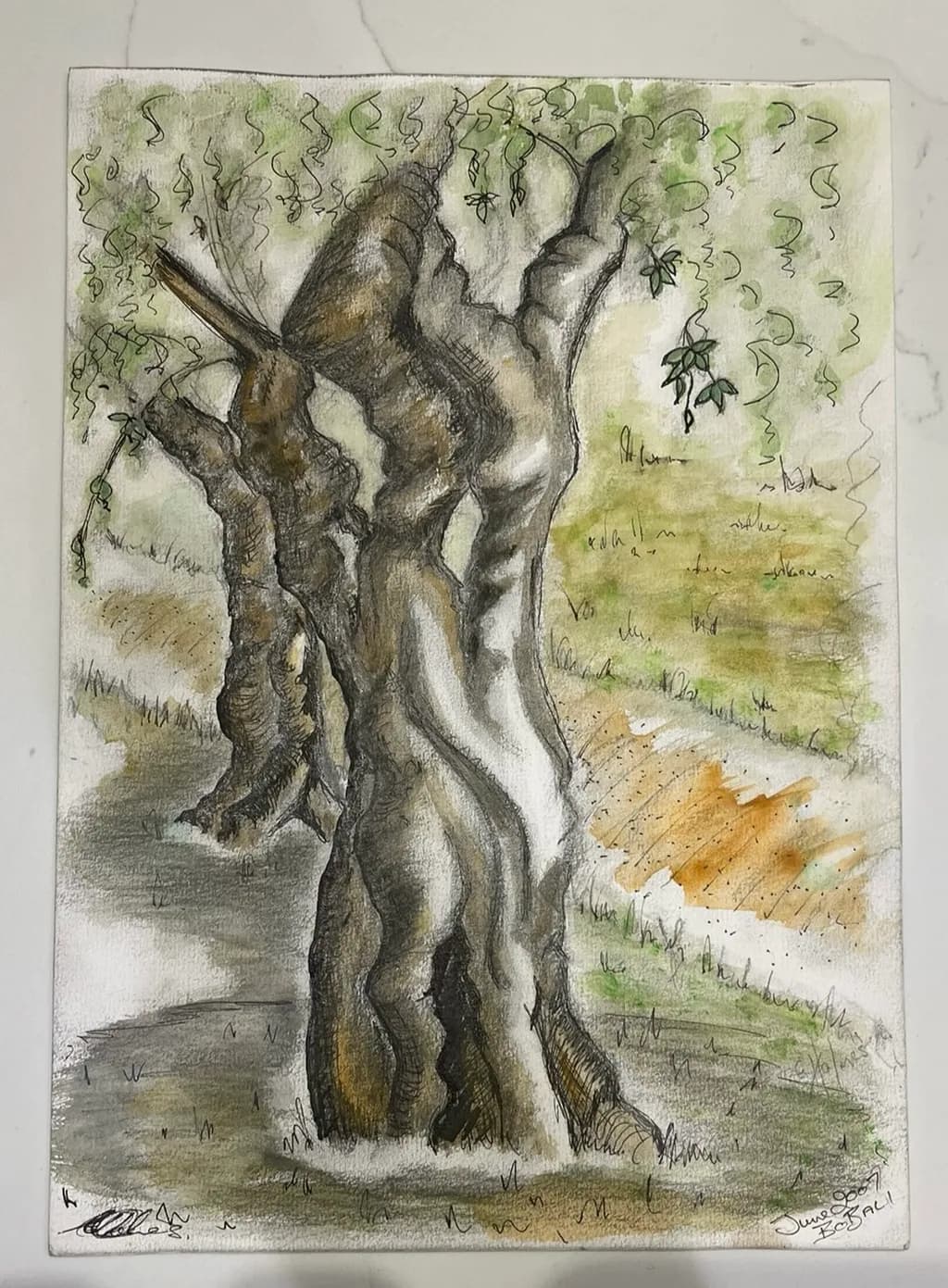Twisted Roots