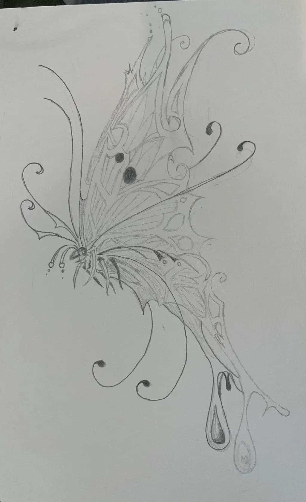 Whispers of Transformation: A Delicate Butterfly Sketch in Abstract Design