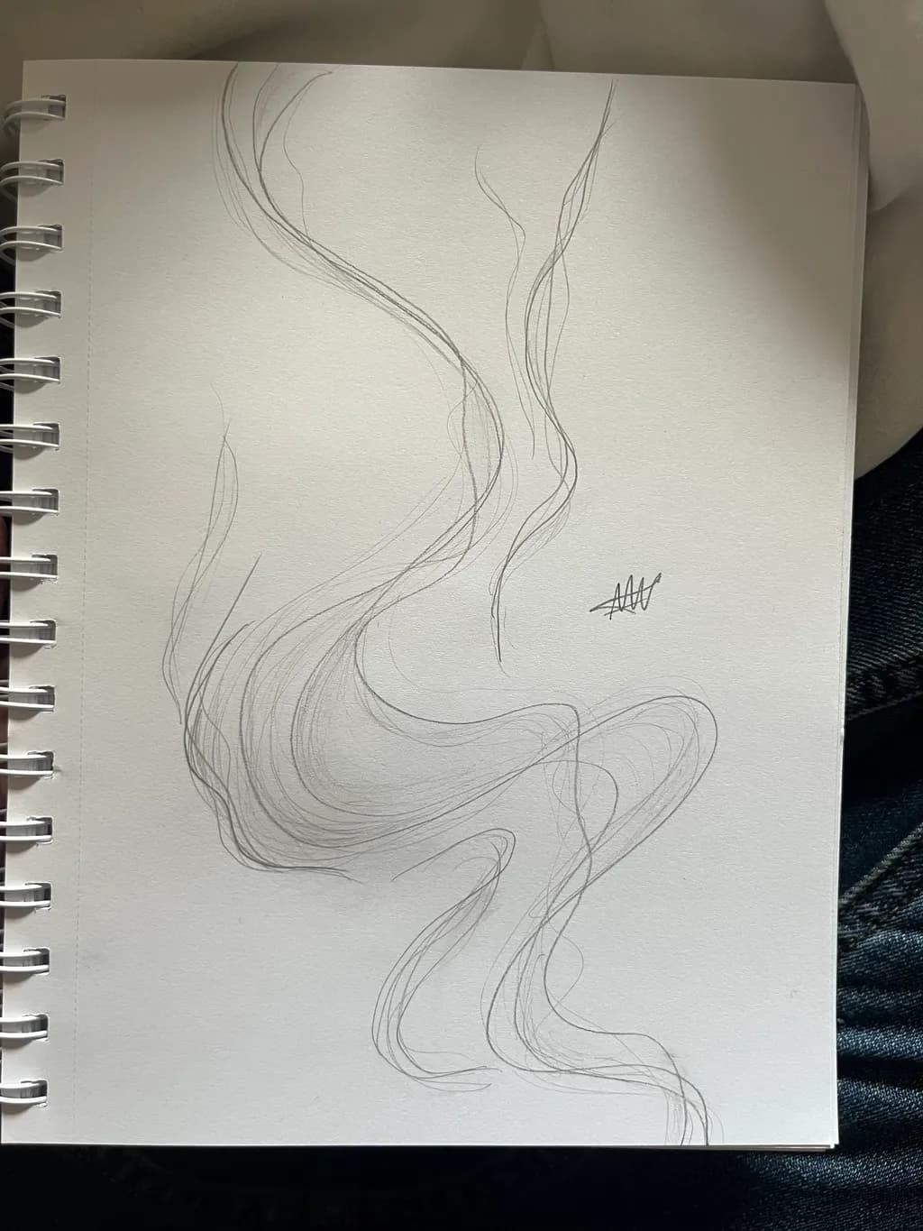 Whispers of Flow: An Abstract Monochrome Sketch in Lines and Curves