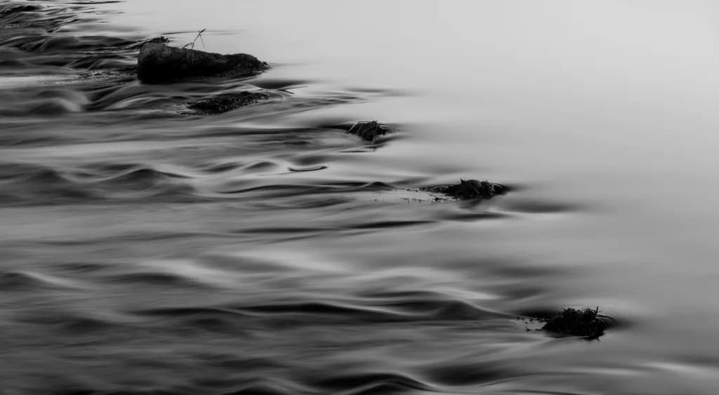 Whispers of Water: A Serene Dance of Shadows and Light