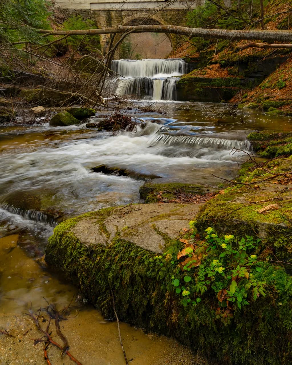 Whispers of Tranquility: A Serene Waterfall Landscape Amidst Lush Greenery