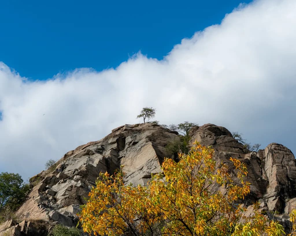 Whispers of Resilience: A Lone Tree on the Rocky Summit Under a Vast Sky