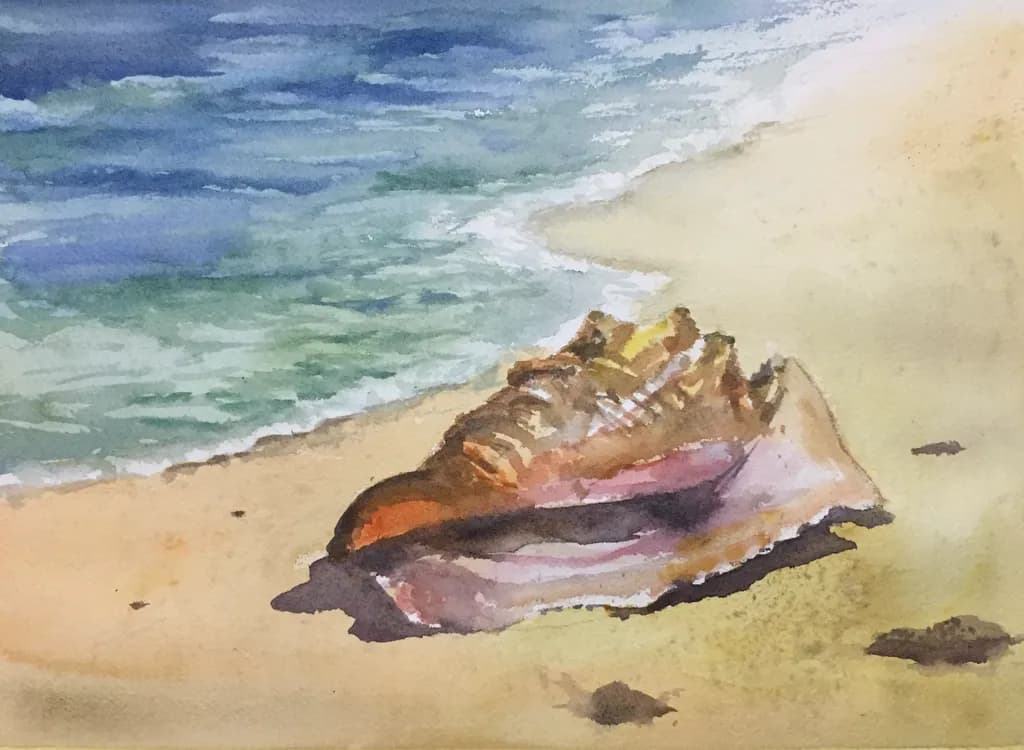 Caracola on the Beach