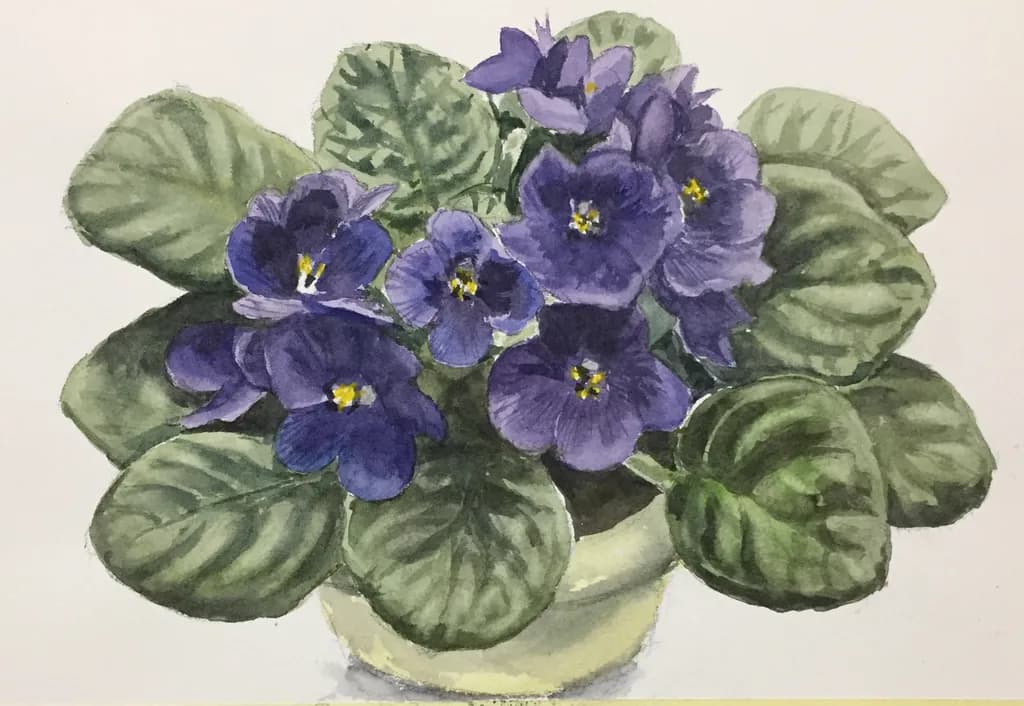 Violetas Viteri