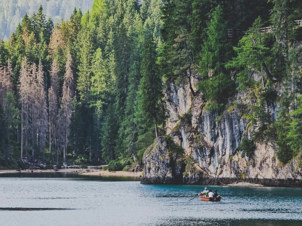 Serenity on the Water: A Tranquil Journey Through Nature's Embrace