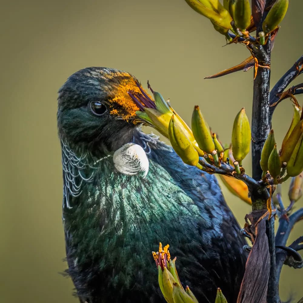 Vibrant Close-Up of a Bird Feeding in Nature's Embrace