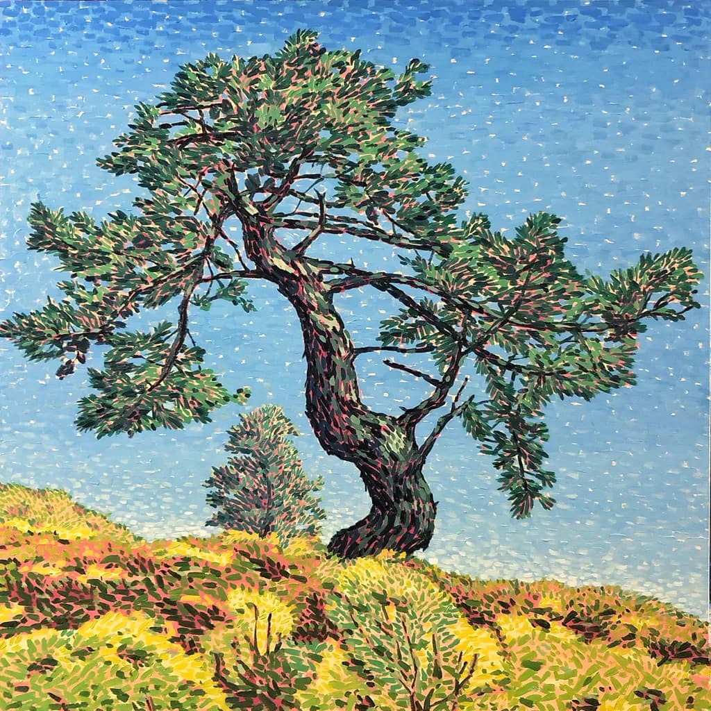 Pine tree