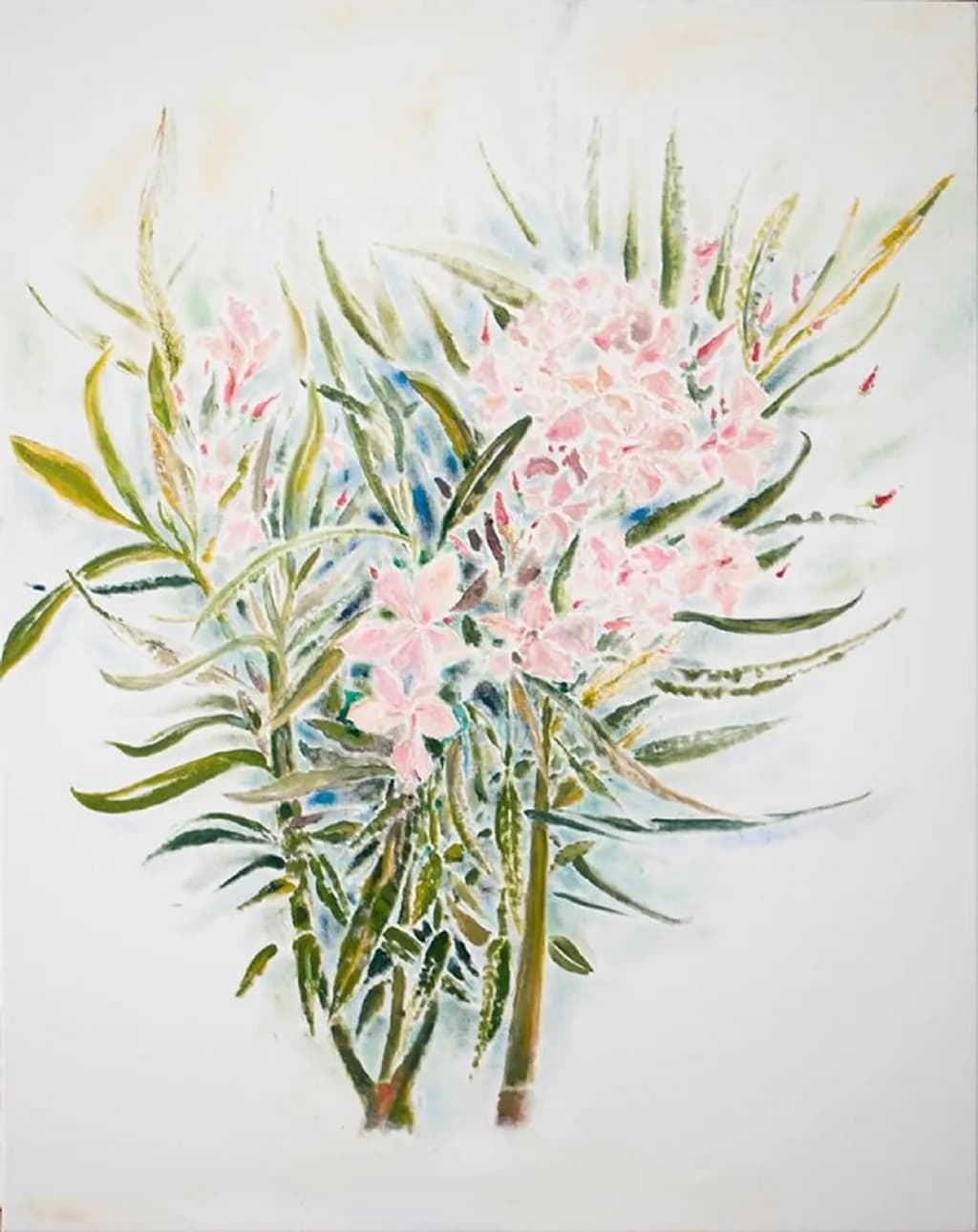 Oleander Bloom