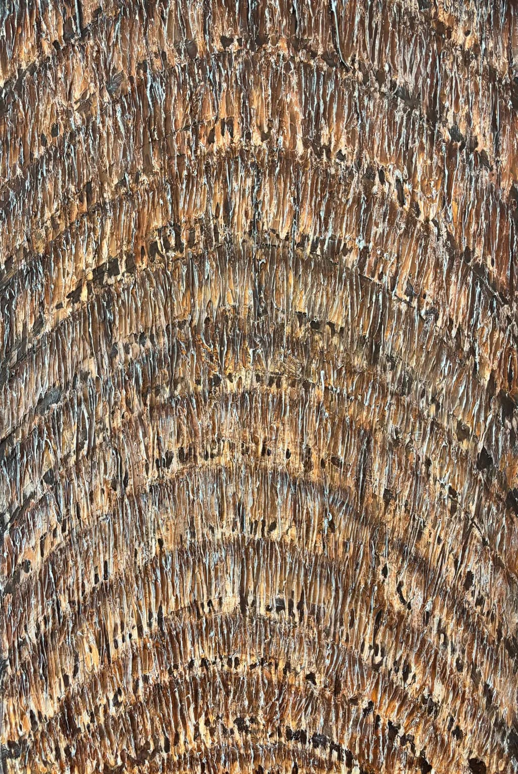 Whispers of the Forest: A Textured Journey Through Organic Patterns in Wood