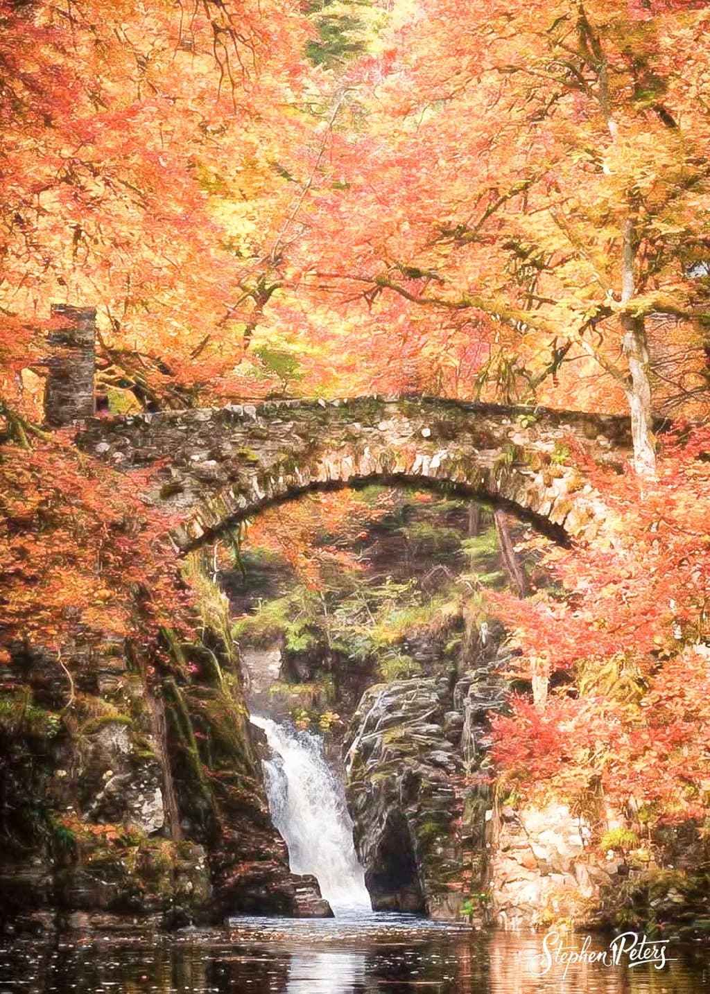 Autumn Bridge