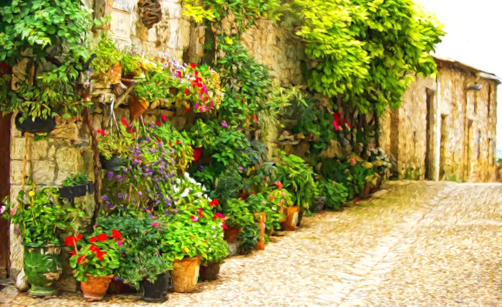 Whispers of Nature: A Lush Garden Pathway in a Rustic Village