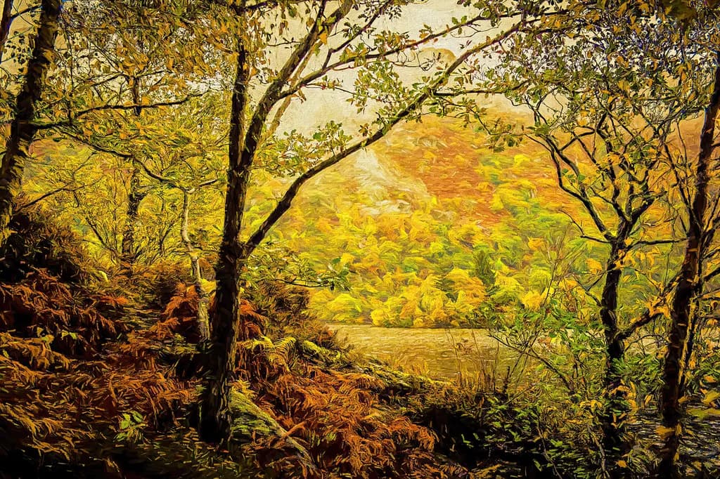 Loch Lomond Autumn
