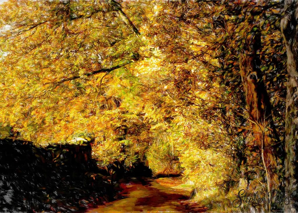 Golden Lane — Autumn Canopy