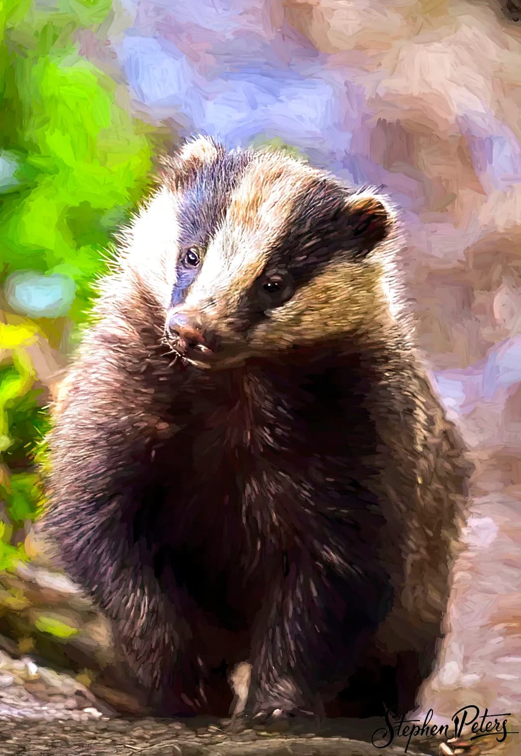 Badger Prowl