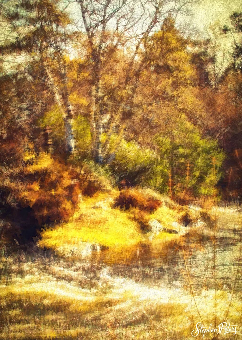 Little Oasis