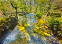 Aira Force River