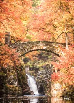 Autumn Bridge