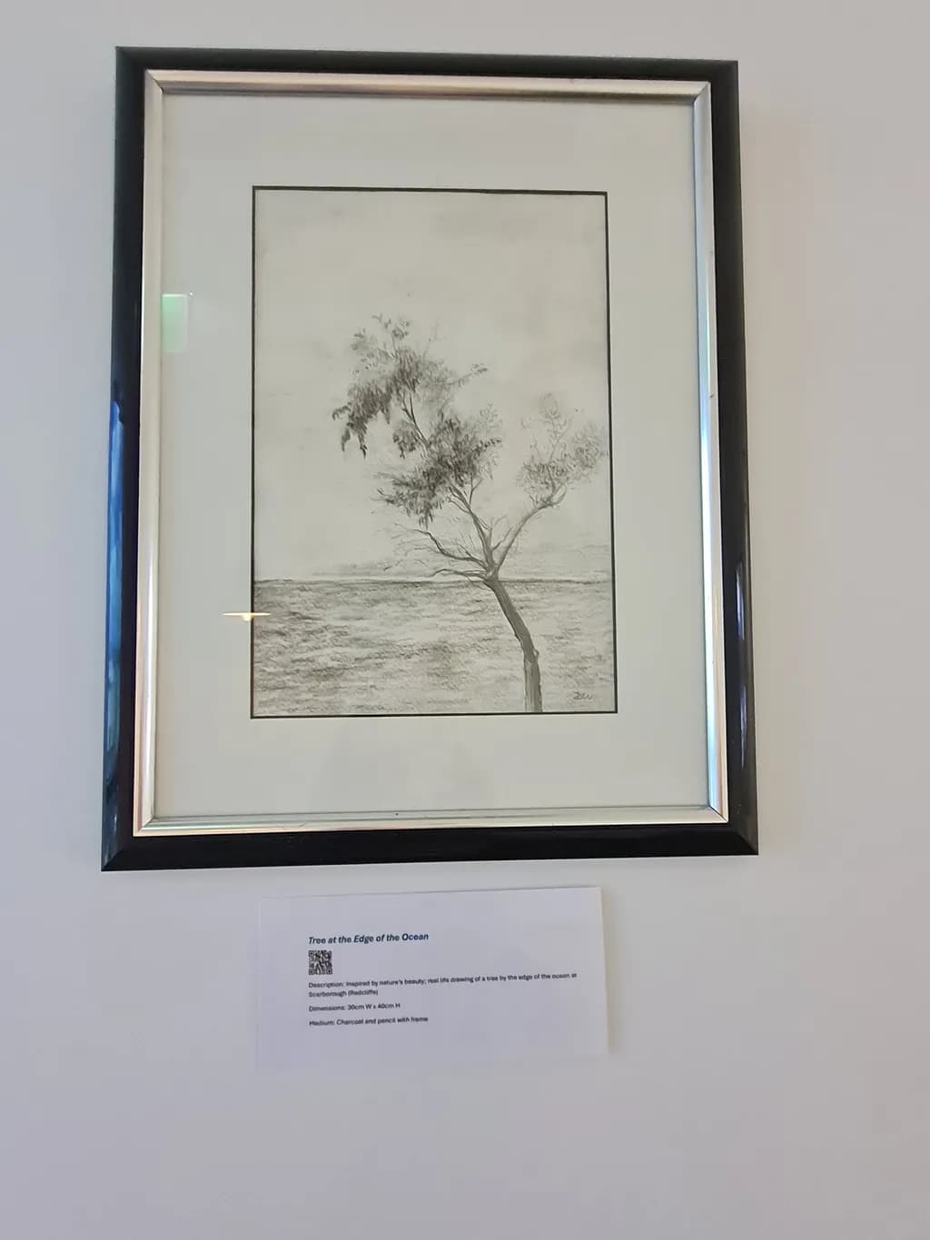 Whispers of the Shore: A Tree's Solitude at Ocean's Edge