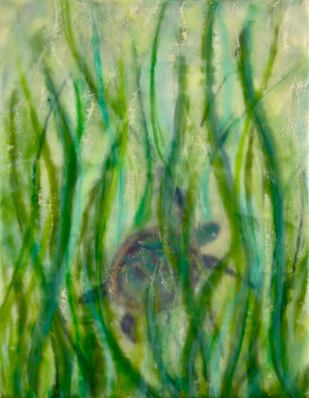 Submerged Turtle