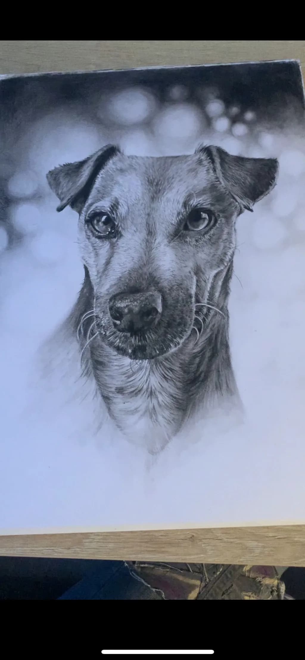 Steadfast Canine