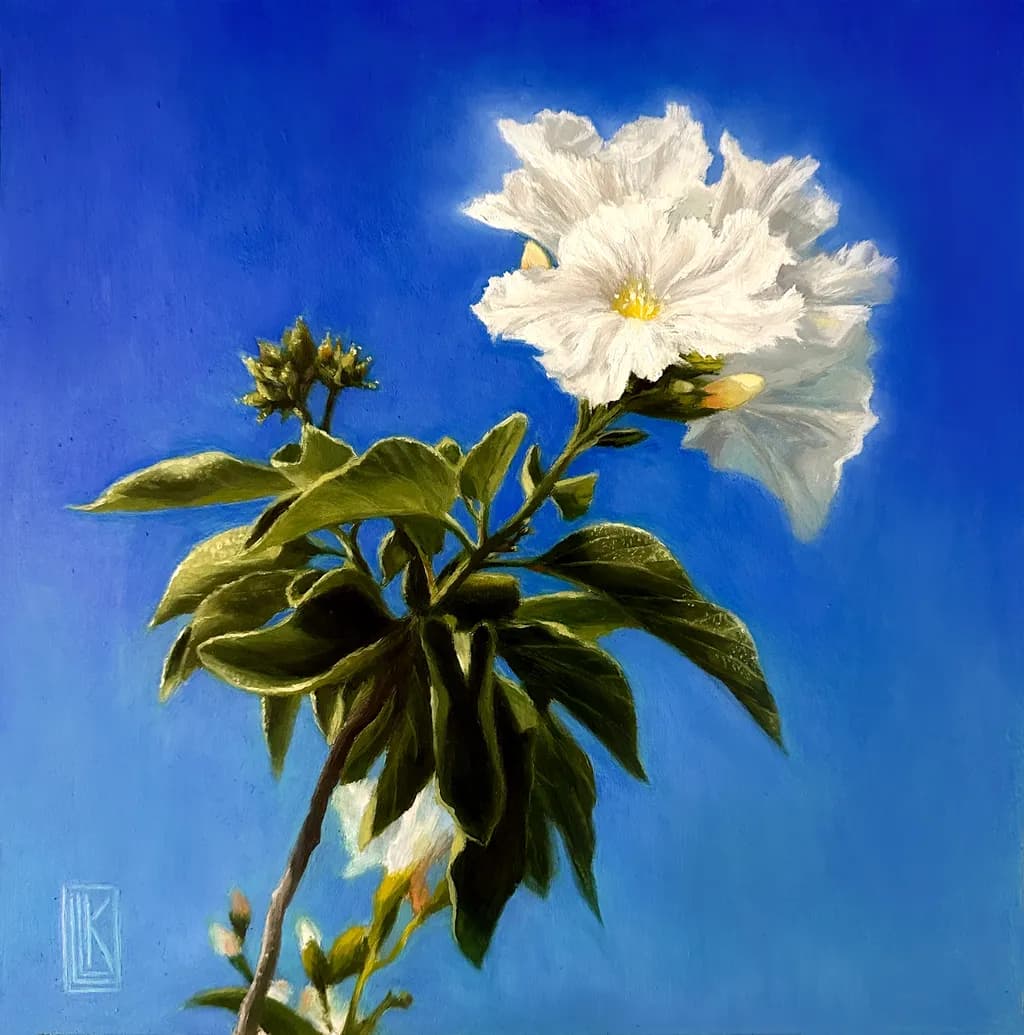 Dream in White and Blue