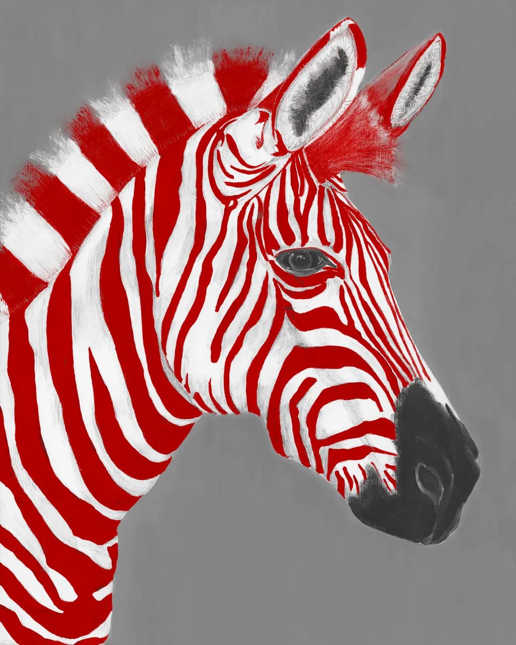 Red Stripe Zebra