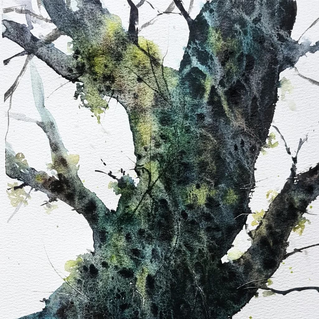 Mossy Bark