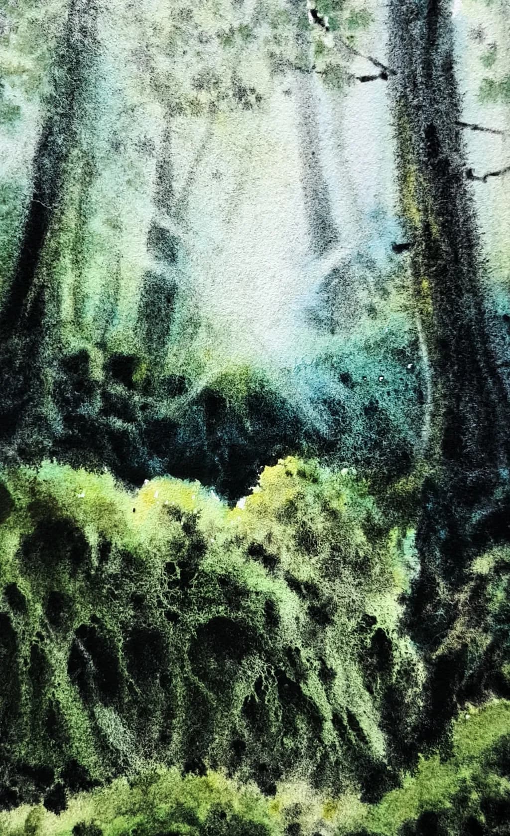 Shadowed Forest Depths