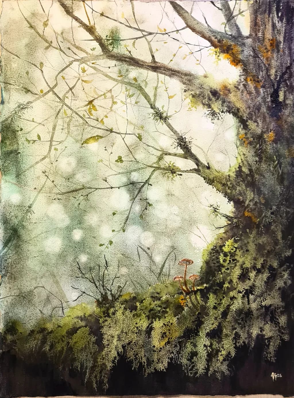Moss and Mushrooms