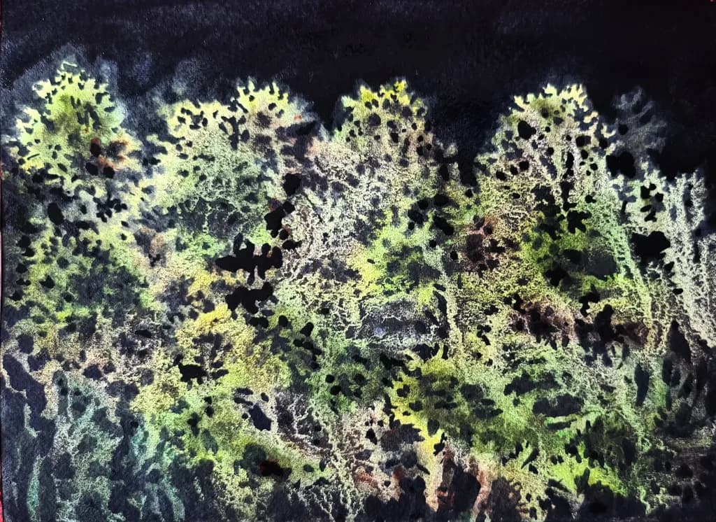 Forest Veil