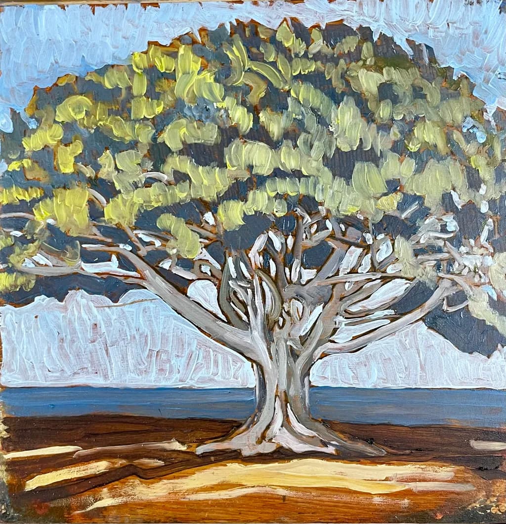 Ancient Olive Tree
