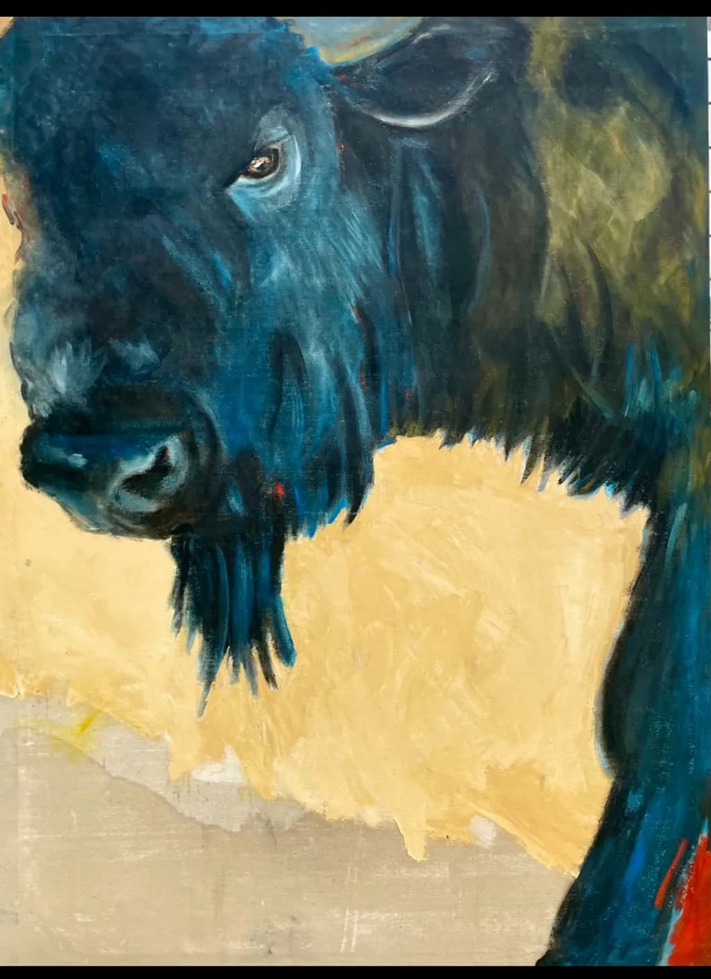 Blue Bison Gaze