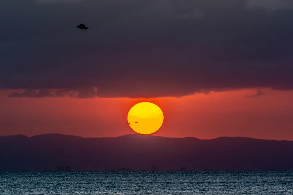 Golden Horizon