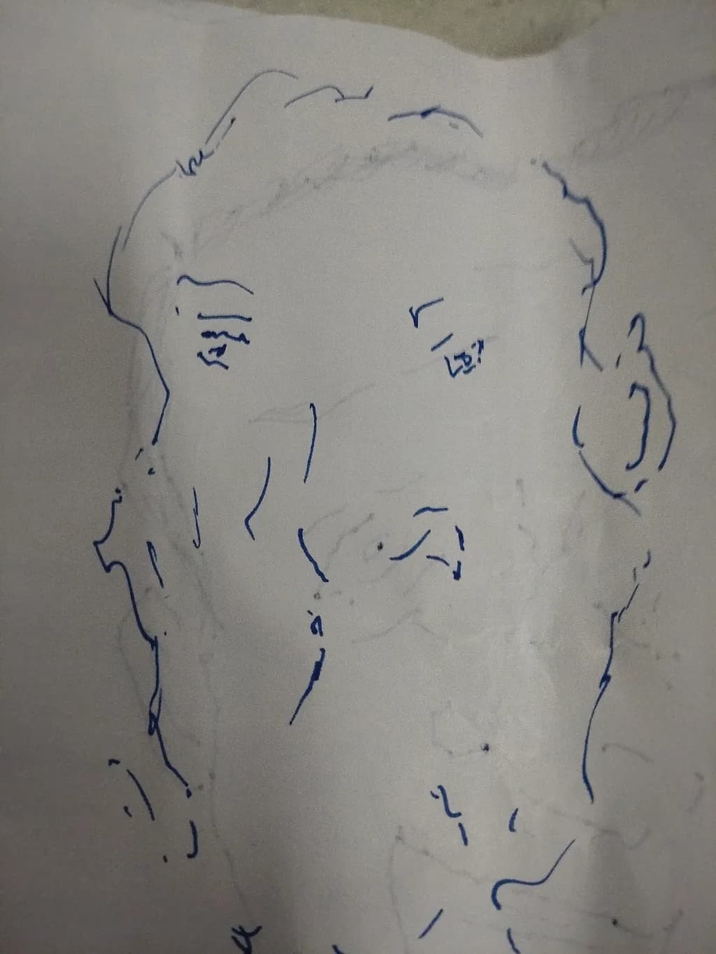 Whispers of Emotion: A Blue Ink Portrait Exploration