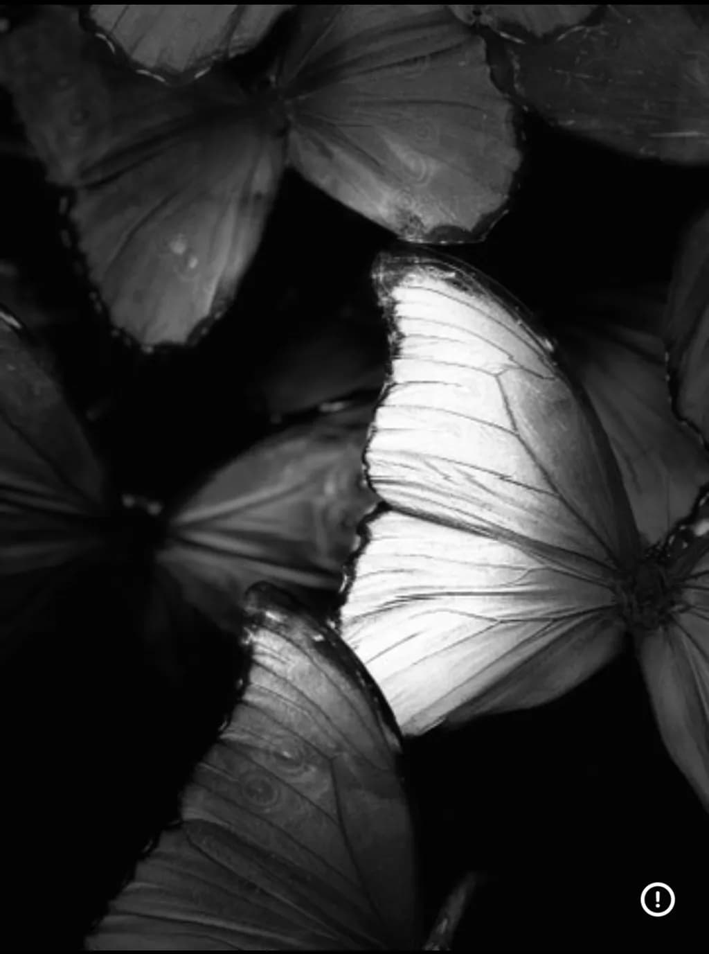 Luminous Shadows