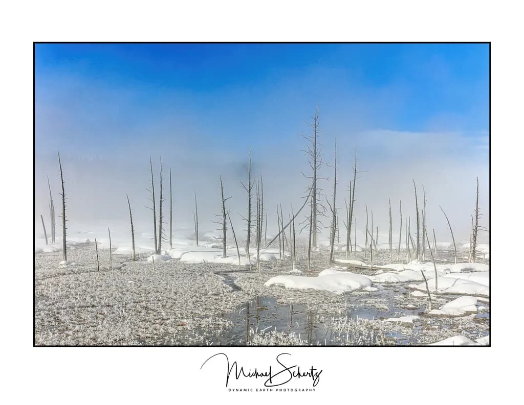 Yellowstone Winterscape