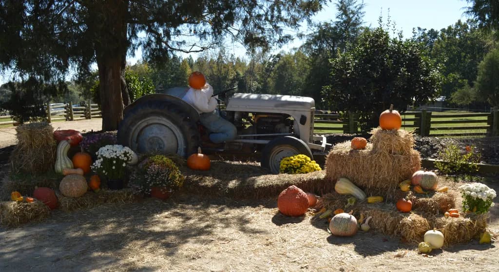 Halloween Scene