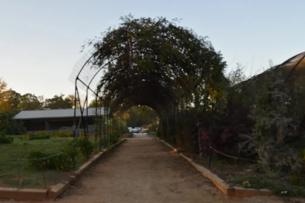 Trellis Passage